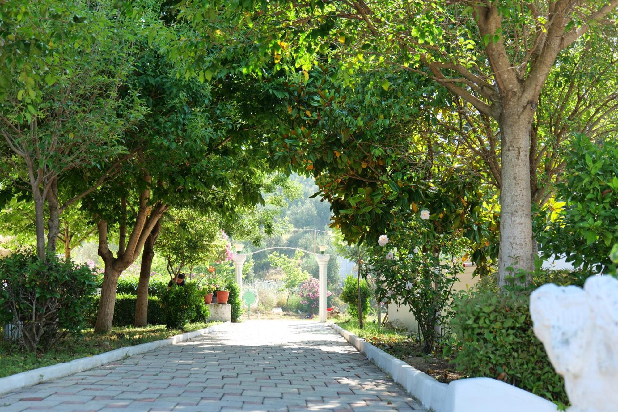 Edva Resort Radhimë Exterior foto